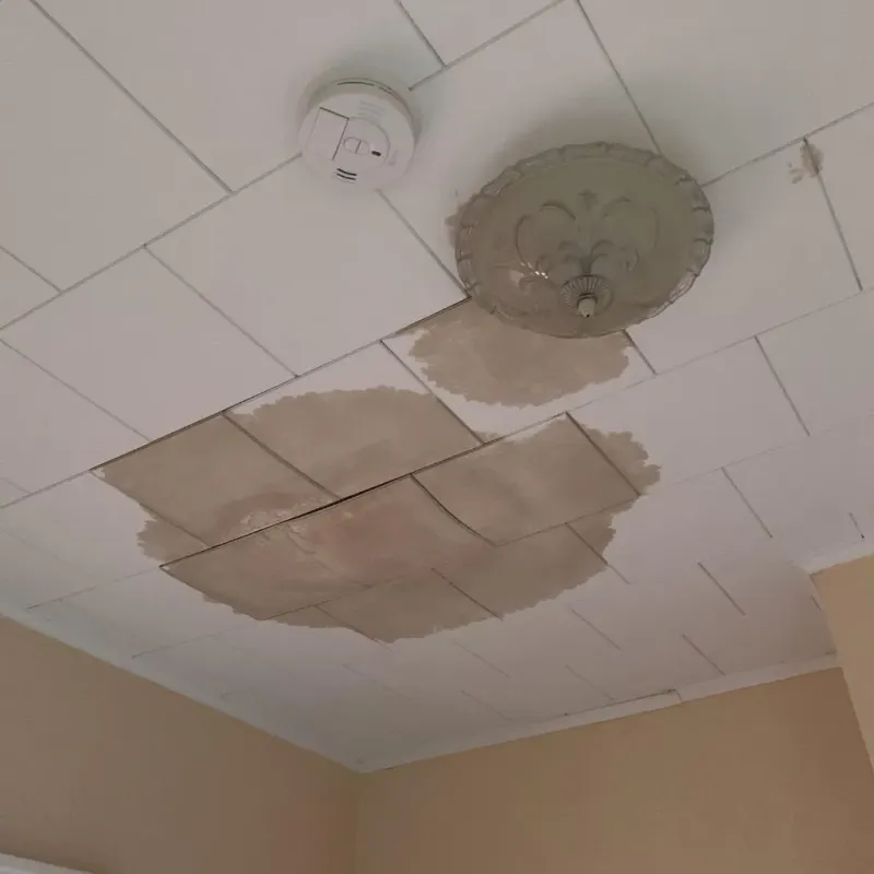 Ceiling Water Damage Repair in Shamokin, PA