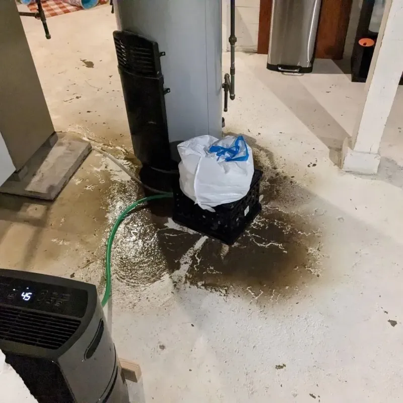 Sewage Backup Cleanup Service in Shamokin, PA